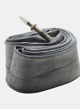 SPECIALIZED闪电 TUBE/TALC 内胎29山地自行车40法嘴