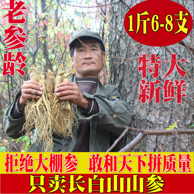 鲜人参现挖长白山野山参特大林下参批发东北特产专用泡酒煲汤养生