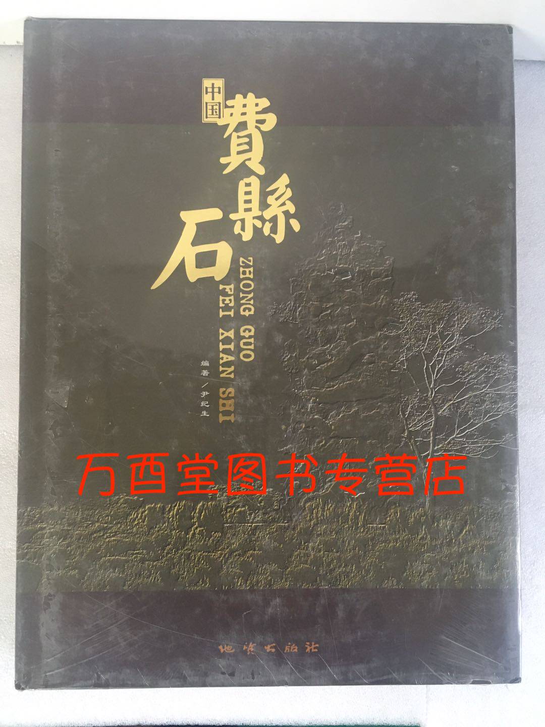 中国费县石 正版现货 地质出版社