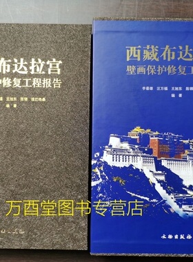 西藏布达拉宫壁画保护修复工程报告 另荐 萨迦寺 馆藏西汉四神云气图壁画修复报告 山西博物院藏宋元 朔州水泉梁北齐墓葬 罗布林卡