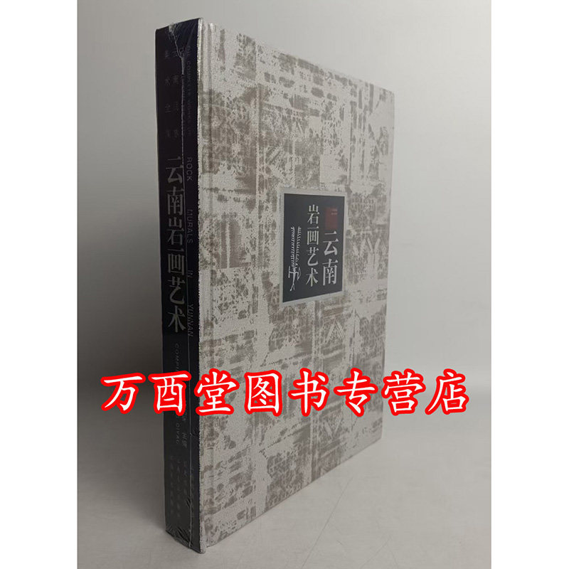 【精装】云南岩画艺术 另荐 云南民族美术史 少数民族传统舞蹈 南天瑰宝 南诏大理国佛国 雕刻绘画 文人画 历代壁画 滇国青铜艺术