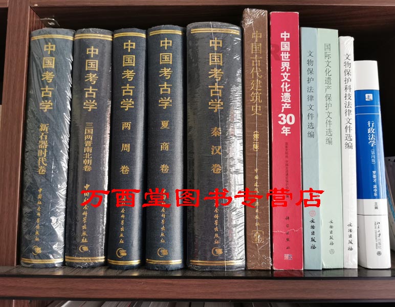 【孤套】2019文物保护工程专业人员资格考试大全套指定参考书（全48种）含文物保护法律文件选编 营造法原诠释 适用于考生单位购买