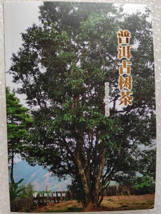 七子饼鉴茶实录 中国 普洱茶续 深邃 七子世界 邓时海 周重林 吴疆说普洱 茶叶密码 普洱古树茶 普洱茶营销 另荐易武与古六大茶山