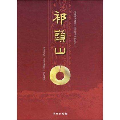 祁头山---太湖西北部新石器时代考古报告之一 文物出版
