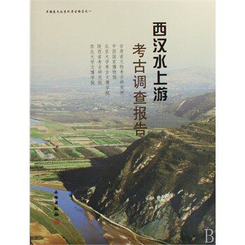 正版 西汉水上游考古调查报告 文物出版 甘肃省文物考古研究