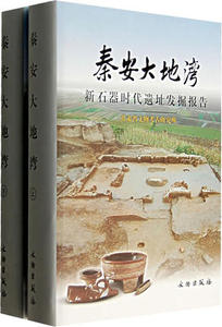 秦安大地湾 新石器时代遗址发掘报告 另荐 东山村查海常州新岗付家山蚌埠双墩 河姆渡文化精粹 花厅武穴鼓山墓地 洛阳王湾 田野
