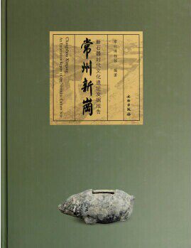 常州新岗 新石器时代文化遗址发掘报告 另荐秦安大地湾东山村查海 付家山蚌埠双墩藤花落聚落考古 花厅武穴鼓山墓地河姆渡文化精粹