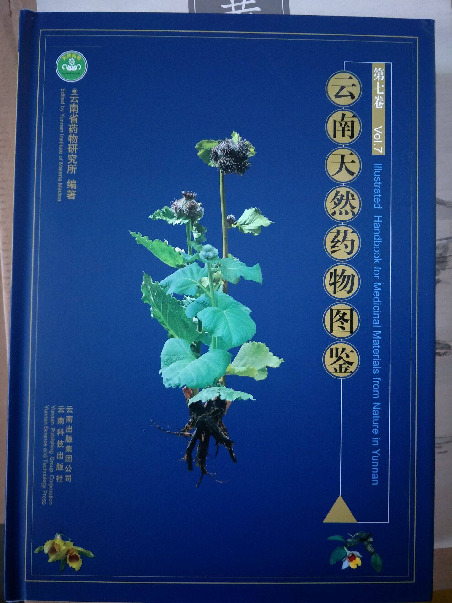 云南天然药物图鉴（第七卷）另荐 滇南本草 云南民族药大辞典 第一 二 三 四 五 六 七 八 九 十 云南民族药志 全五卷续一怎么样,好用不?