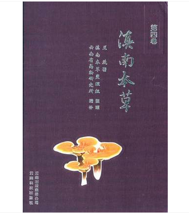 【第四卷】滇南本草 另荐 云南民族药大辞典 第一二三四卷 云南重要天然药物图鉴 第五 六 七 八 九 十 云南民族药志 全五卷续一