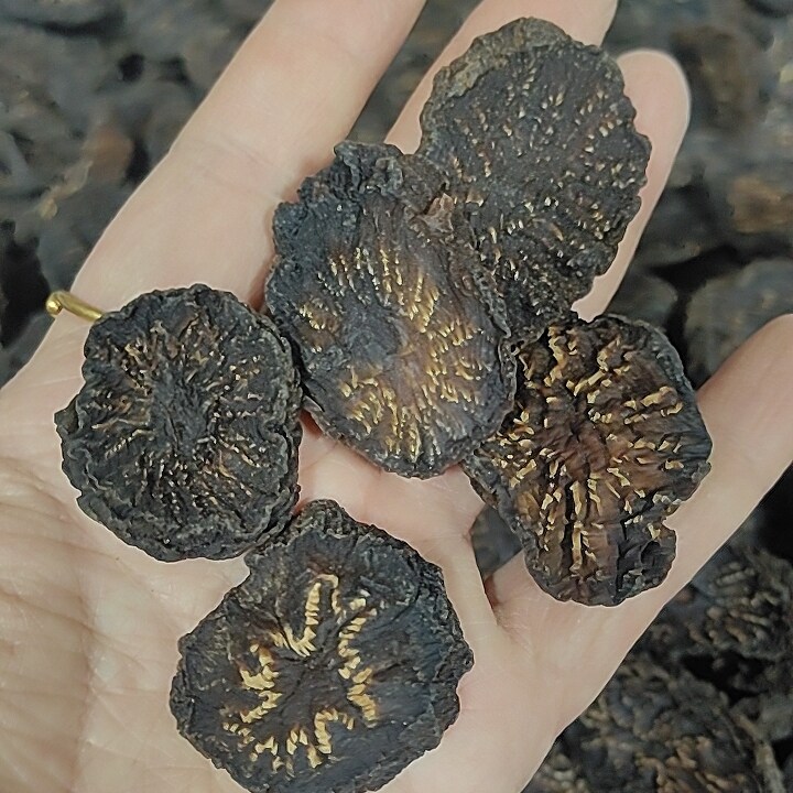 【直播福利荒漠油肉苁蓉泡酒泡水内蒙古阿拉善产地直发