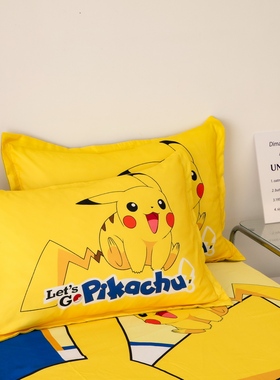 卡通儿童男孩男童皮卡丘幼儿园宝宝小枕头套30*50cm学生40x60枕套
