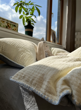 ins白蓝色珊瑚绒立体华夫格牛奶绒保暖四件套加厚1.5m1.8公寓冬季