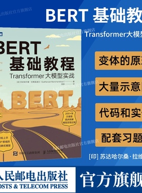 【出版社官方旗舰店】BERT基础教程 Transformer大模型实战 自然语言处理模式实战 chatgpt人工智能机器人学习深度学习计算机书籍