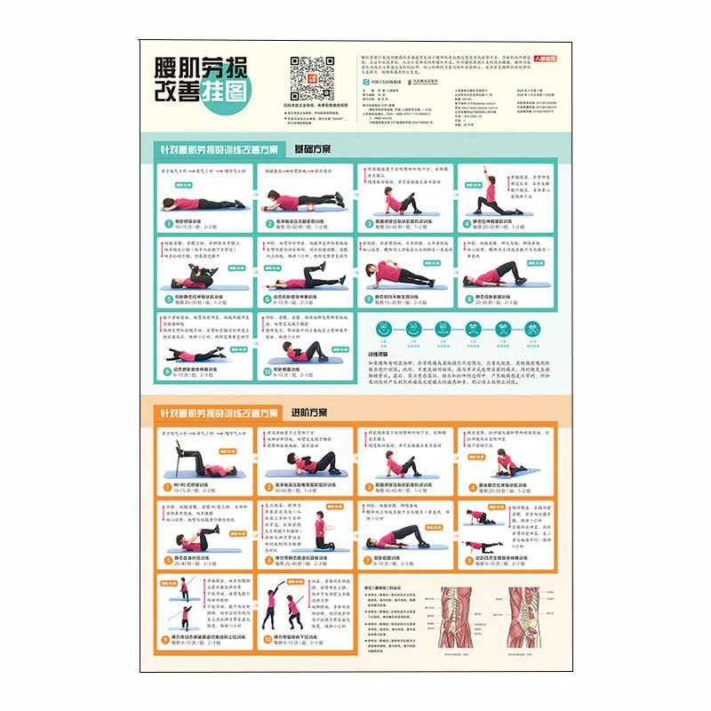 腰肌劳损改善挂图