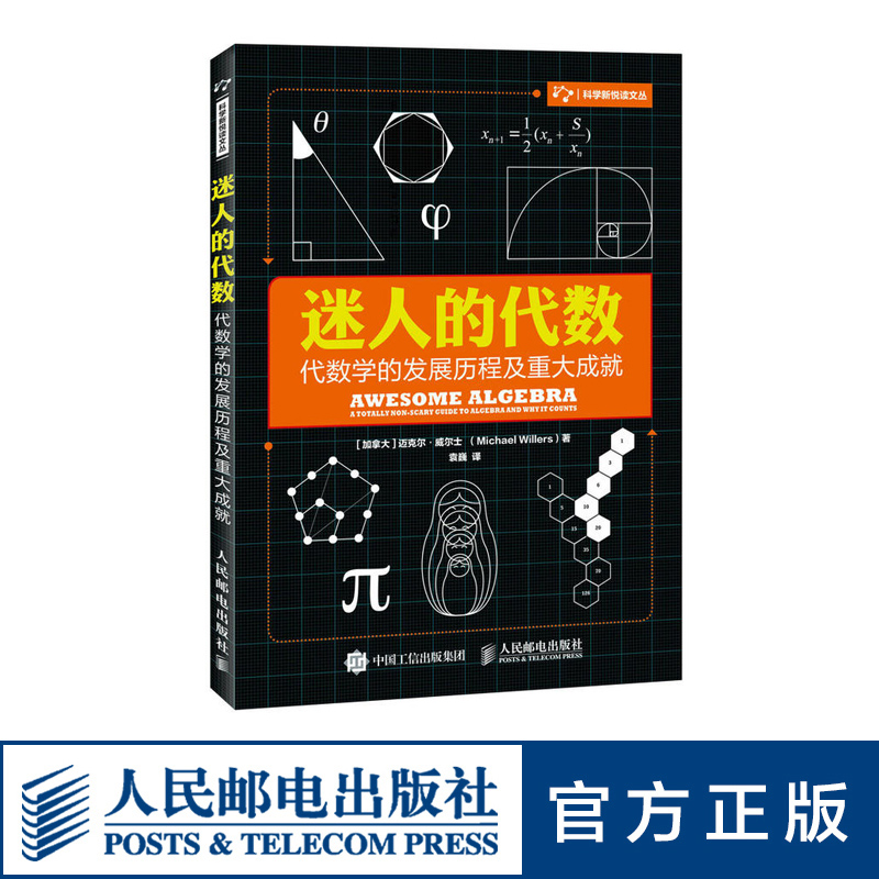 【旗舰店正版】迷人的代数 代数学的发展历程及重大成就 数学 代数 难题书籍