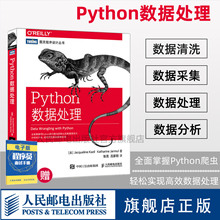 【旗舰店正版】Python数据处理 python大数据分析爬虫开发零基础自学编程从入门到精通实践项目实战 程序设计数据结构分析网络书籍
