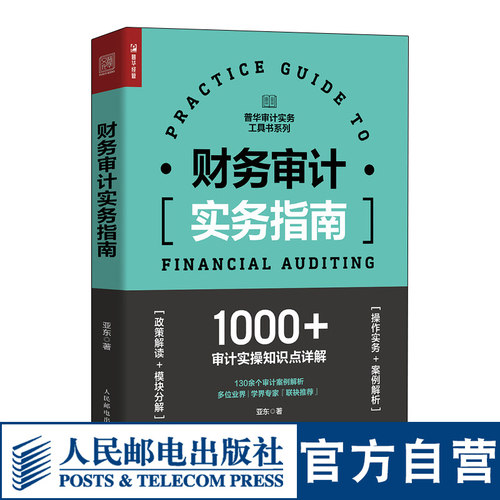财务审计实务指南 审计报告内部审计学财务会计学企业管理实务内审财会舞弊风险管理企业会计准则