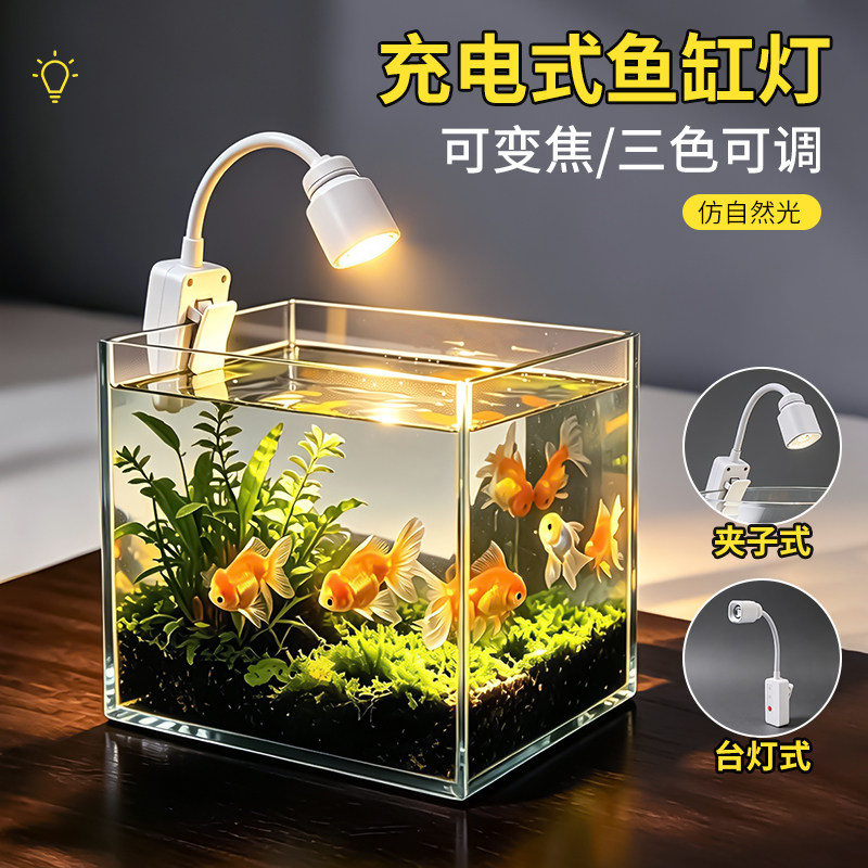 夹子射灯免布线鱼缸照明灯护眼筏钓灯防眩床头便携式led灯充电灯
