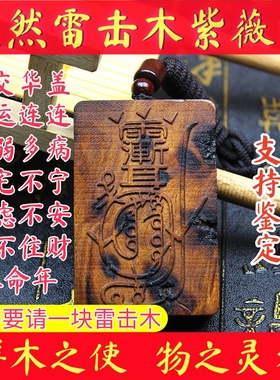 雷击木天然正宗无事雷击枣木金光咒牌道家法器饰品紫薇讳男女吊坠