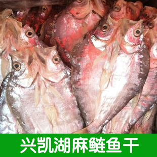 兴凯湖特产开湖鱼麻鲢匹子小白鱼干半干黑龙江密山晾晒水产