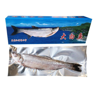 黑龙江密山风味特色翘嘴大白鱼速冻清蒸顺丰冷水发货送礼佳品