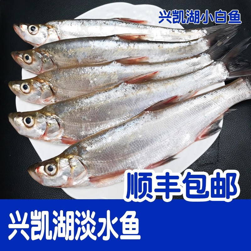 顺丰兴凯湖特产小白鱼小麻鲢鱼净膛东北淡水鱼翘嘴新捕现杀饭店,水产肉类/新鲜蔬果/熟食,淡水鱼类,淘宝优惠券,粉丝福利购,淘宝优惠卷