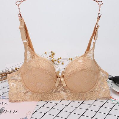 夏季大码蕾丝网纱半透明女士内衣