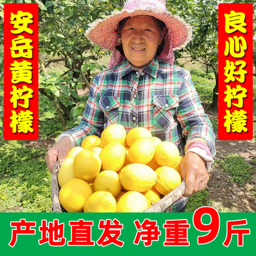 四川安岳黄柠檬新鲜5斤皮薄多汁