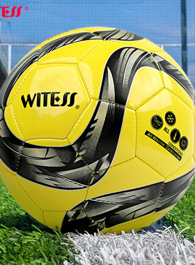 WITESS目击者足球儿童小学生专用球4号5号成人青少年初中生中考用