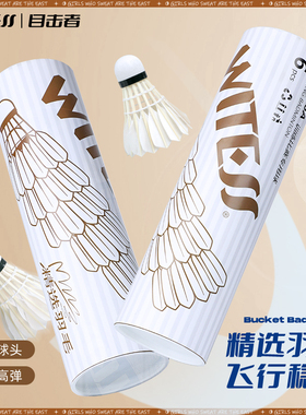 WITESS目击者羽毛球6只装专业训练软木球头精准高弹飞行稳定YB406