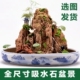 吸水石微景观上水石水秀石奇石天然假山盆景观赏石微景观鱼缸造景