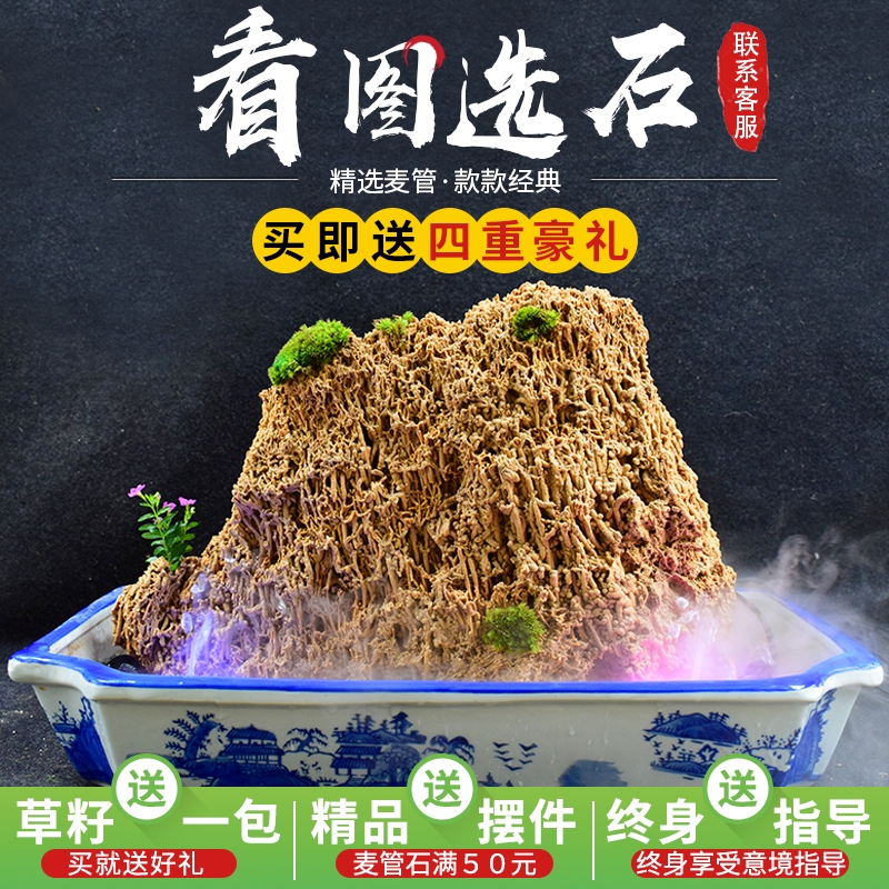 天然麦管石原吸水植物假山盆景