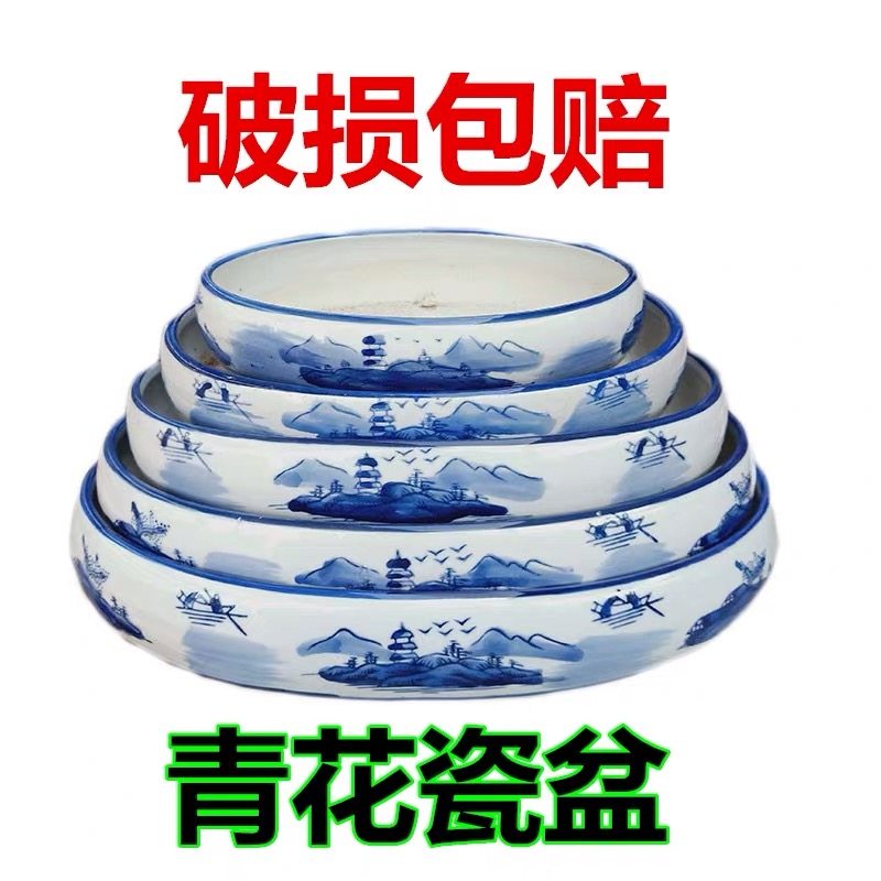 吸水石盆上水石假山陶瓷盆水仙多肉盆水培微景观椭圆形盆景底座,鲜花速递/花卉仿真/绿植园艺,其它园艺用品,淘宝优惠券,粉丝福利购,淘宝优惠卷