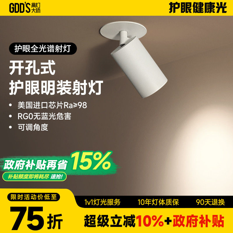 gdds开孔式明装射灯led圆洞cob图片