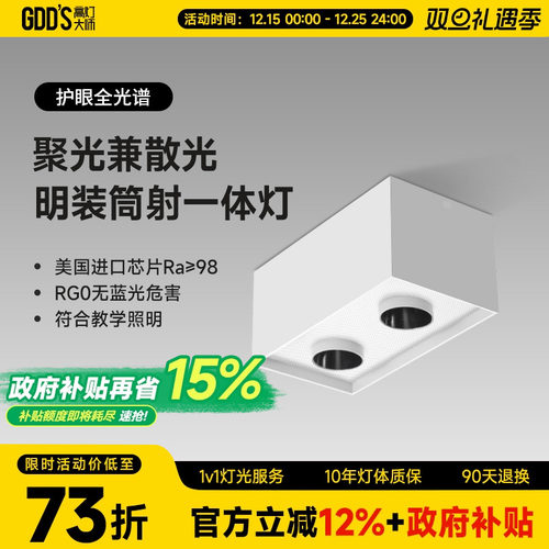 双头斗胆LED射灯明装吸顶正方