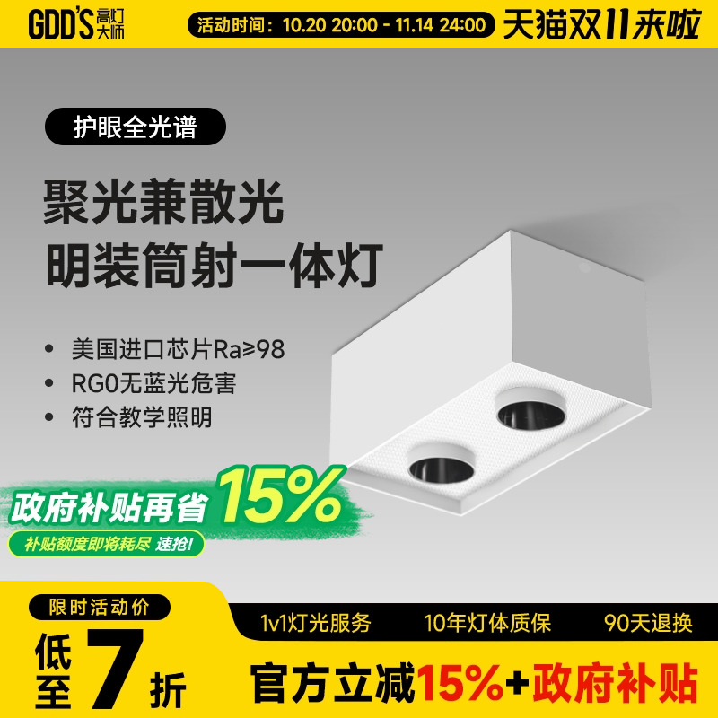 双头斗胆LED射灯明装吸顶正方