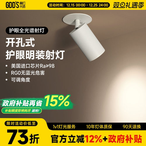 gdds开孔式明装射灯led圆洞cob