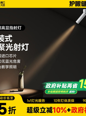 明装小光束角3度吸顶聚光灯射灯led艺术氛围灯博物馆茶室可调角度