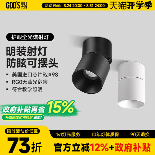 全铝材可摆头防眩高灯大师极简风