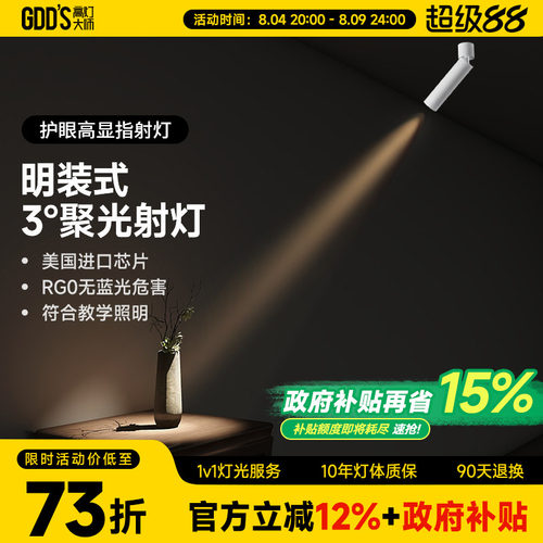 高灯大师客厅全铝材可摆头