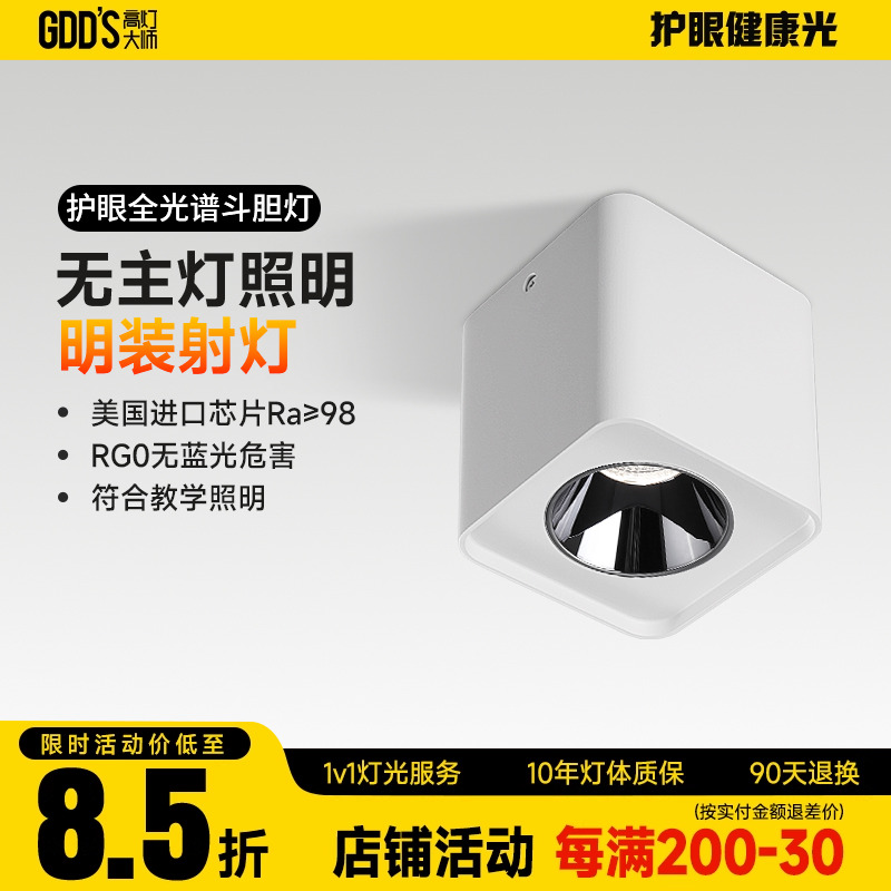 明装白色过道可调角度斗胆灯