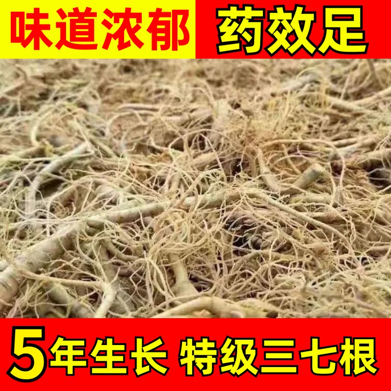 云南文山三七根须新鲜特产野生云三七根泡酒特级正品田七大根毛须