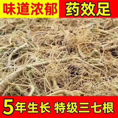 云南文山三七根须新鲜特产野生云三七根泡酒特级正品田七大根毛须