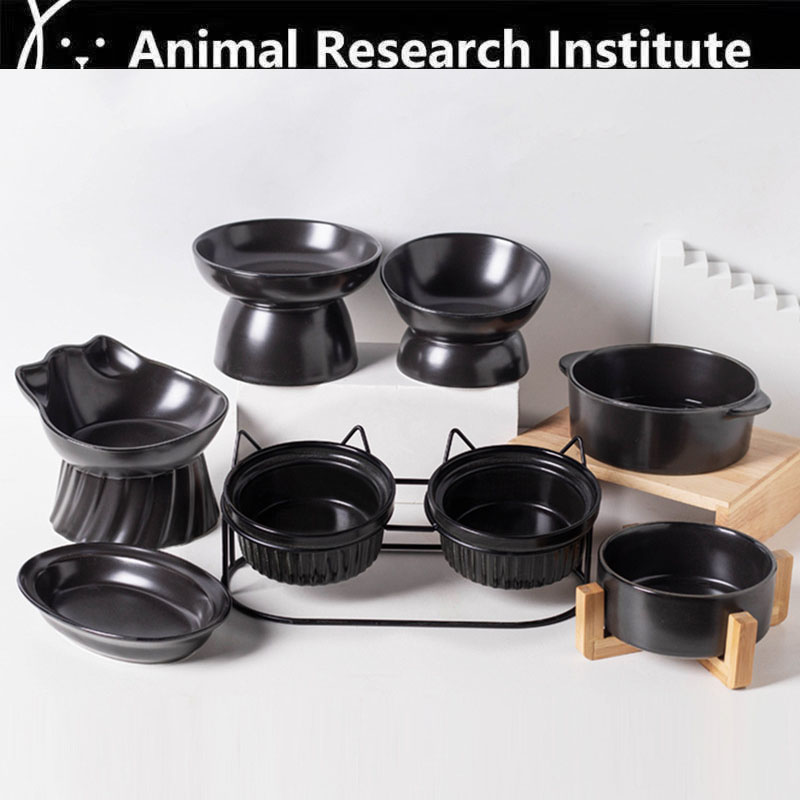 黑色水碗猫咪最喜欢护颈椎高脚