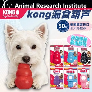 KONG狗漏食玩具耐咬橡胶葫芦磨牙益智丰容喂食器藏食宠物解闷自嗨