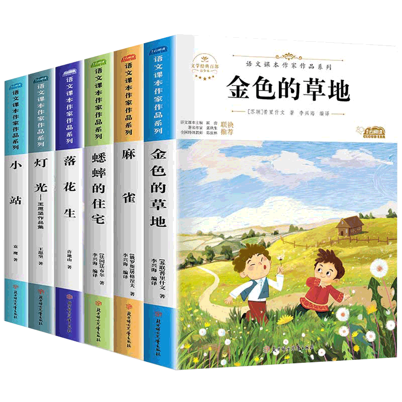宋庆龄奖作品书系 全套6册 儿童文学小学生课外阅读书籍指定8一12岁小学经典书目 3-4-5适合三四五六年级必读课外书的读物