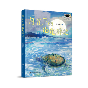《月光下的海龟驿站》