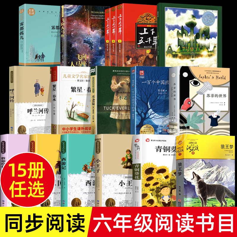 【官方正版】六年级阅读的课外经典书目全17册 西游记小王子菲的世界狼王梦青铜葵花呼兰河传雾都孤儿繁星春水老师飞向人马座YWT 书籍/杂志/报纸 儿童文学 原图主图