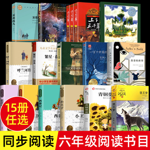 【官方正版】六年级阅读的课外经典书目全17册 西游记小王子菲的世界狼王梦青铜葵花呼兰河传雾都孤儿繁星春水老师飞向人马座YWT