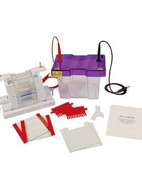 Cleaver CVS10DSYS 迷你垂直电泳槽